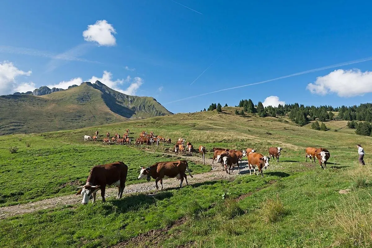 Le Pied Des Pistes, Studio 5 Pers, Balcon Sud Est, Vue Sur Les Montagnes Le Biot Lägenhet